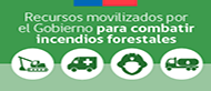 Gobierno toma medidas ante incendios forestales